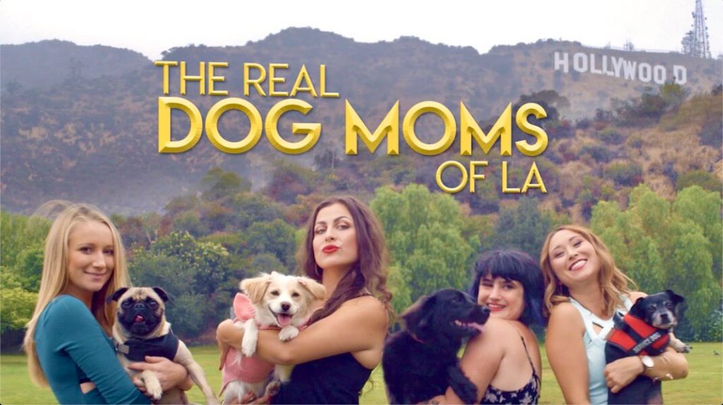 dog-moms-3